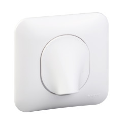 Ovalis - sortie de cable - 16A - 2 connecteurs - fixation vis - blanc.S260662