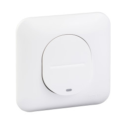 Ovalis - interrupteur simple - lumineux temoin ou localisation.S260263