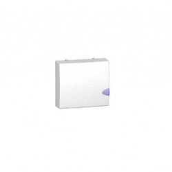 Opale - capot + porte pour panneau de contrÃ´le 1P - opaque OPL13418