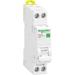 Resi9 XP - modular circuit breaker - 1P N - 25A - C curve - paintable R9PFC625